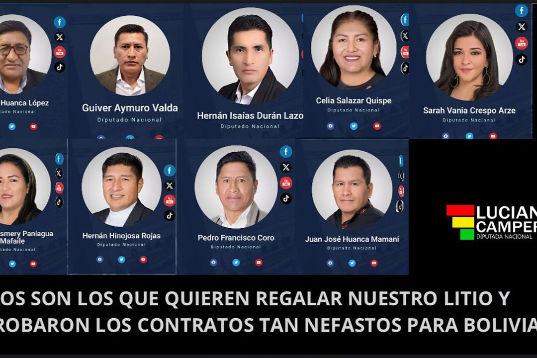 Comision Que Aprobo Contrato De Litio